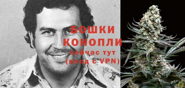 спайс Белокуриха