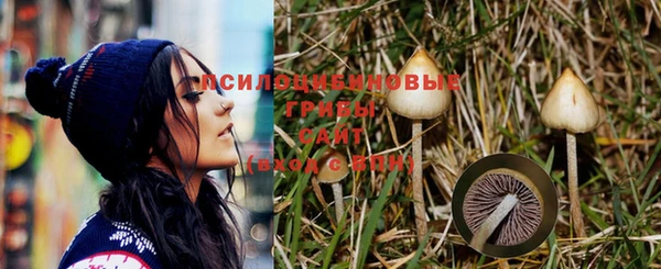 а пвп мука Володарск