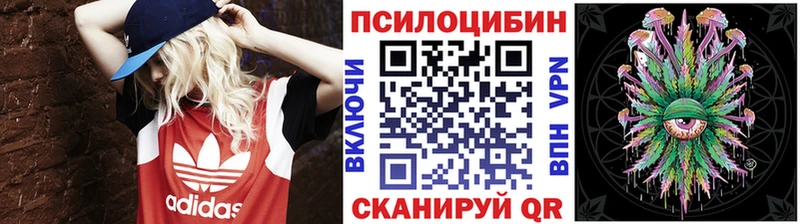 Купить закладки  Ленск  Галлюциногенные грибы Magic Shrooms 